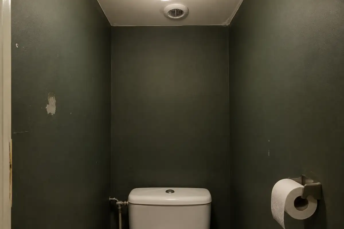 Peinture des toilettes : la ventilation décide avant la couleur